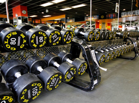 Golds Gym Bhawarkuan Indore