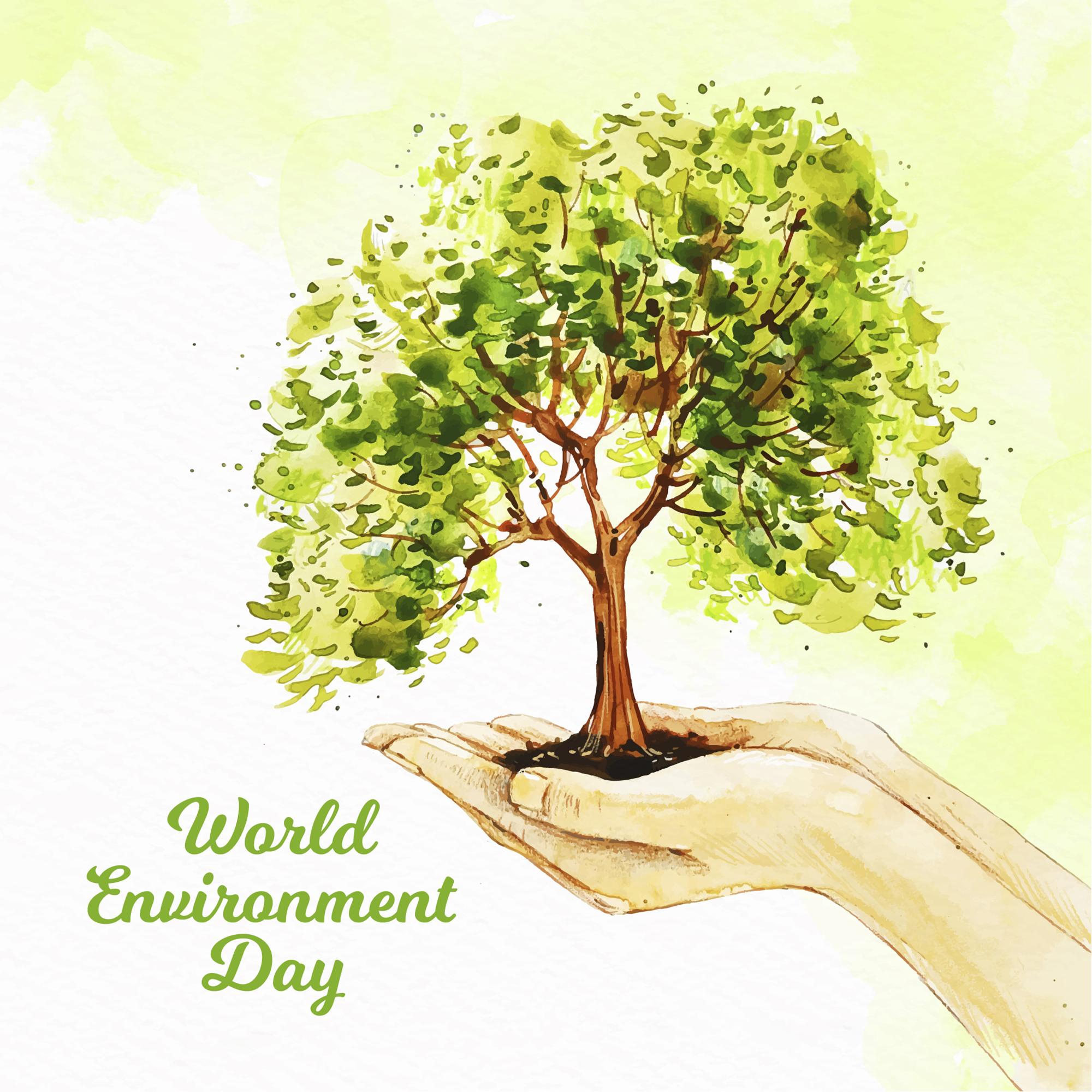 Do you think youth can make the future greener? World Environment Day