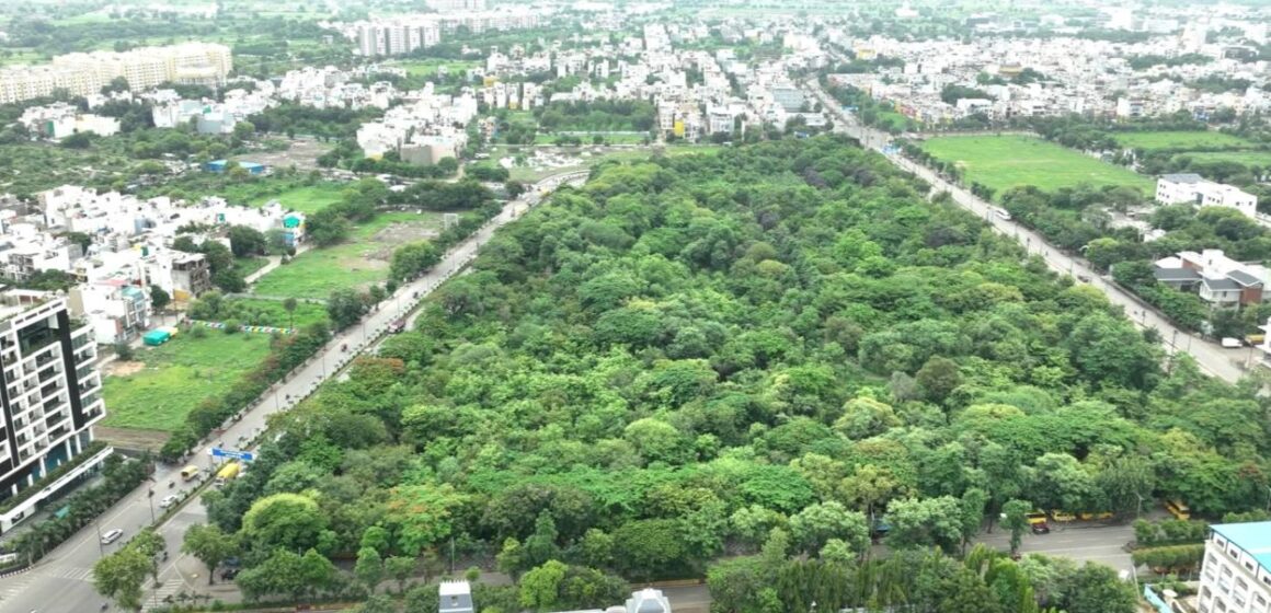 City Forest IDA City Forest IDA