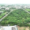 City Forest IDA