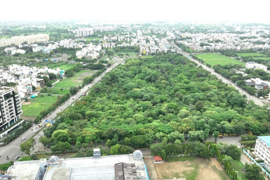 City Forest IDA