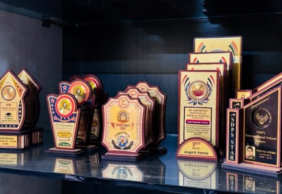 Amreliana Art Indore