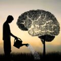 Learning Mindset