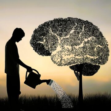 Learning Mindset