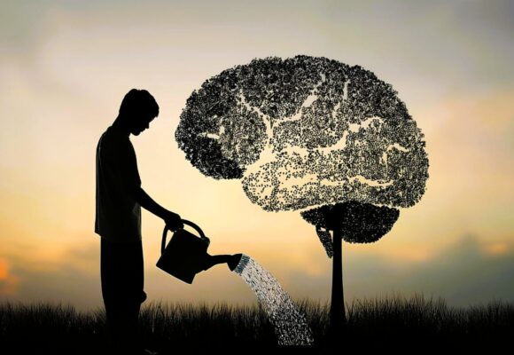 Learning Mindset